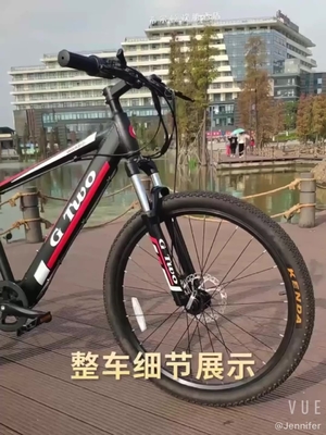 CE Approved removable battery 26 inch 250W Electric Bike with GPS diagnonsis E bicicle data