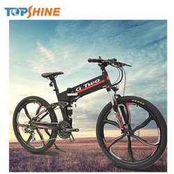 250/350W Folding Electric Mountain Bicycles With Hub Brushless High Speed Motor