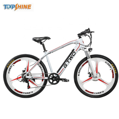 500W 48V Lithium Battery Electric Mountain Bicycles 350W with Hydraulic Brake