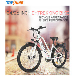 24 Inch Commuter Electric bike With Real Time GPS Positioning speedometer