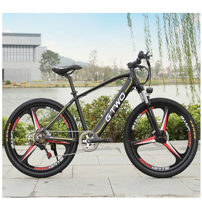 Customized GPRS RFID Mountain Electric Bike Pedal Assist Ebike With LCD Display