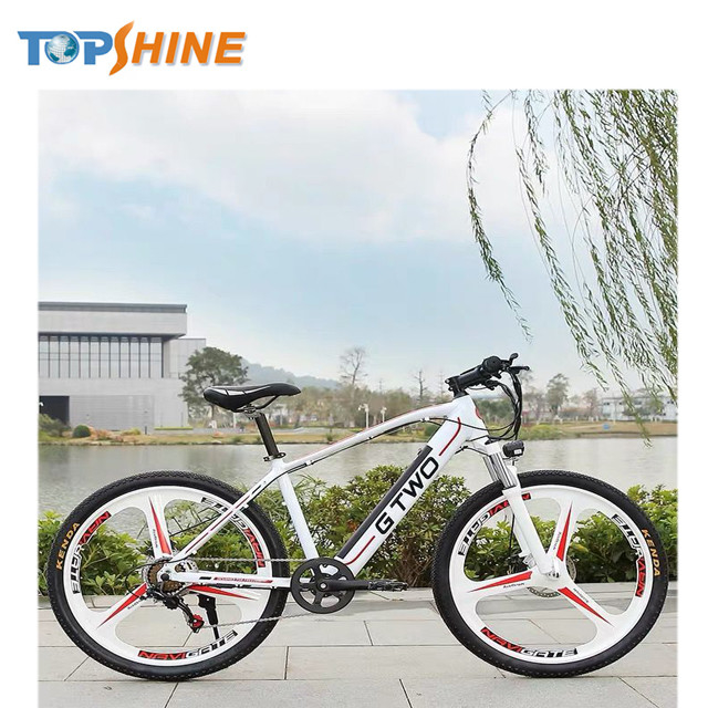 ODM 350w Full Suspension Mountain E-Bike with 7/21/24/27 Speed