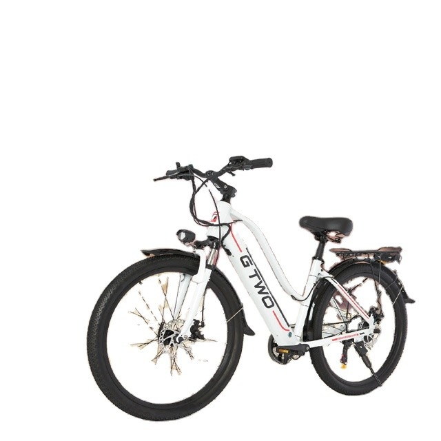 Custom Women'S 25 Mph Electric City Commuter Ebike With HiFi System