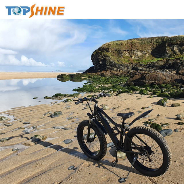Hydraulic Brake 26&quot;X4 Tyre 500w Fat Tire Electric Bike Ebike With GPS Locating LCD
